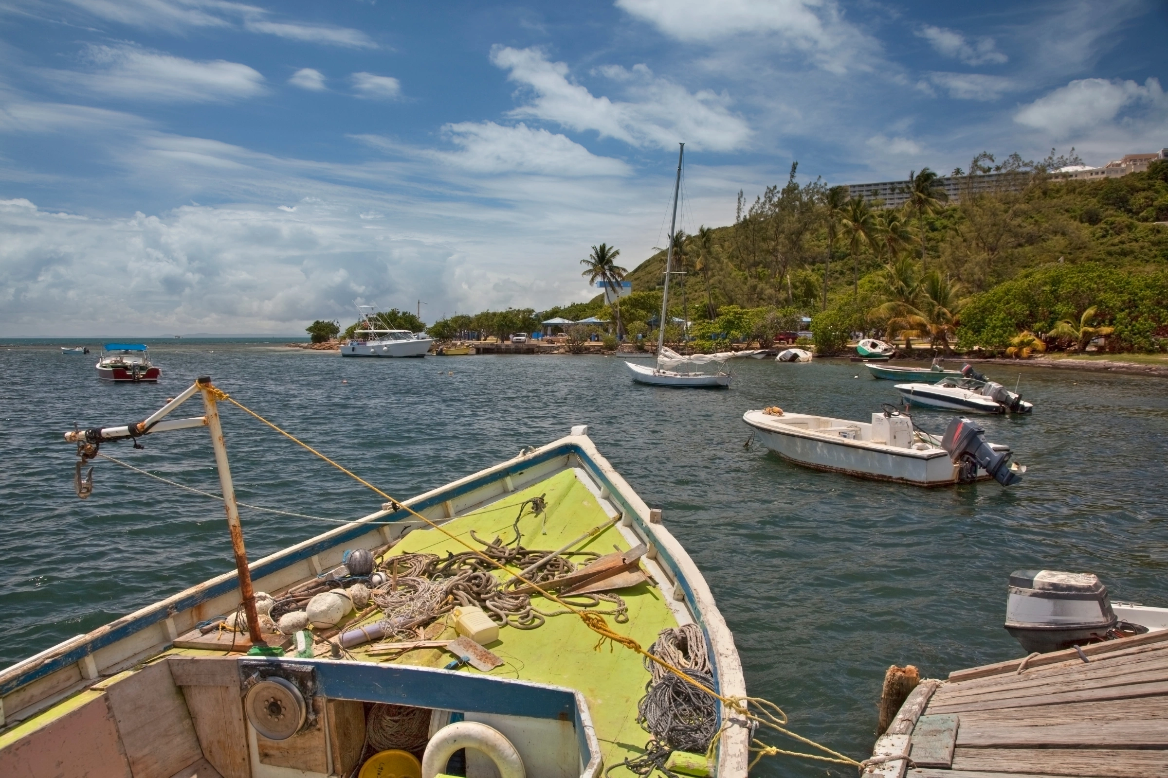 Fajardo_Bay[1].webp